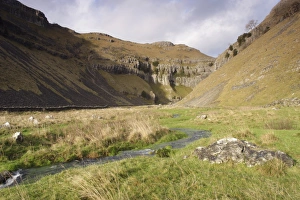England Countryside Images Prints: View of stream flowing along valley bottom