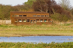 Minsmere RSPB Reserve Landscape Print