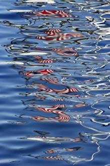 American Flag Reflection Prints: Abstract reflection of American flag, Catalina, California