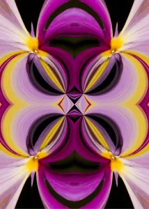 Abstract Art Photography Prints: Abstract design
