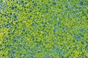 Foamy Texture Print - Abstract Artwork