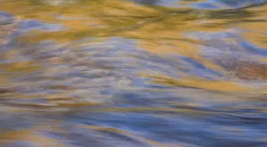 River Reflections Print, Lower Deschutes River