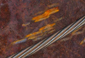 Abstract Prints: Rust Abstract Print
