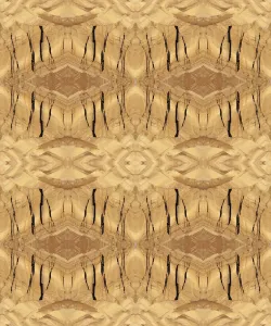 Desert Landscape Photos Prints: Tan and brown abstract