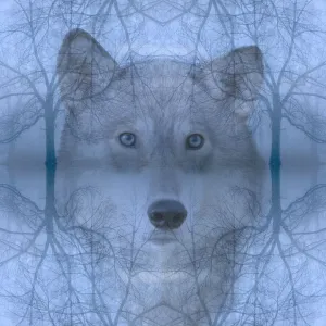 Wolf and Skeleton Trees Print