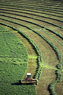 Aerial view of a hay harvest in Grandview, Idaho Aerial view of a hay harvest in Grandview, Idaho