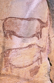 Africa, Botswana, Tsodillo Hills. Bushman paintings Africa, Botswana, Tsodillo Hills. Bushman paintings