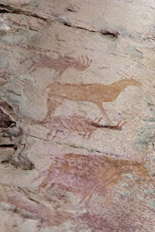 Africa, Botswana, Tsodilo Hills. Ancient Bushman rock art. (UNESCO World Heritage Africa, Botswana, Tsodilo Hills. Ancient Bushman rock art. (UNESCO World Heritage