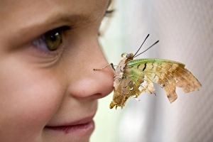 Africa. Kenya. Child with butterfly on her nose. (MR) Africa. Kenya. Child with butterfly on her nose. (MR)