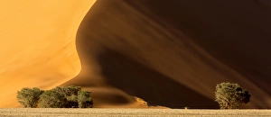 Africa, Namibia, Namib-Naukluft Park. Dune at sunset Africa, Namibia, Namib-Naukluft Park. Dune at sunset