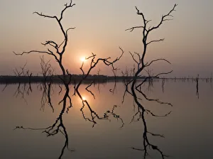 Africa, Zimbabwe, Matusadona National Park. Reflections on Lake Kariba. Credit as Africa, Zimbabwe, Matusadona National Park. Reflections on Lake Kariba. Credit as
