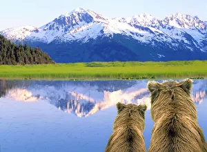 Alaska Brown Bears (Ursus arctos) Alaska, Digital Composite Alaska Brown Bears (Ursus arctos) Alaska, Digital Composite