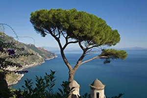 Tree Prints: Amalfi Coast Print of Ravello, Campania Italy