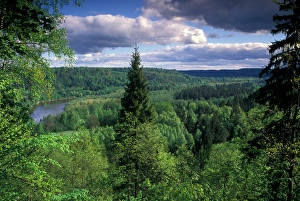 Ancient valley of Gauja River in the Guaja National Park from Painter's/Artist's Ancient valley of Gauja River in the Guaja National Park from Painter's/Artist's
