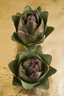 Images Dated 10th June 2012: Danita Delimont Print - Two Artichokes