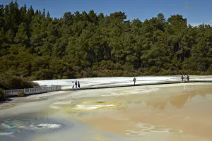 Artists Palette, Waiotapu Thermal Reserve, near Rotorua, North Island, New Zealand Artists Palette, Waiotapu Thermal Reserve, near Rotorua, North Island, New Zealand
