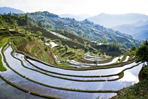 Asia, China, Yunnan Province, Yuanyang County. Sun reflects off flooded Laohu Zui Asia, China, Yunnan Province, Yuanyang County. Sun reflects off flooded Laohu Zui