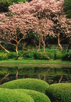 Asia, Japan, Tokyo. Reflecting pond, Imperial Palace East Gardens Asia, Japan, Tokyo. Reflecting pond, Imperial Palace East Gardens