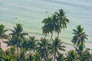 Asia, Thailand. Palm trees on Koh Chang, South of Bangkok, in Gulf of Thailand Asia, Thailand. Palm trees on Koh Chang, South of Bangkok, in Gulf of Thailand