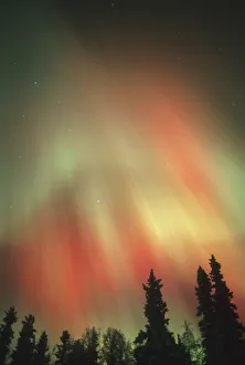 Northern Lights Alaska Prints: Aurora Borealis