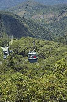 Australia Skyrail Print, Barron Gorge National Park Landscape