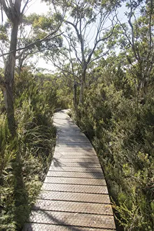Australia, Tasmania, Tasman National Park. Three Capes Track Cape Hauy boardwalk Australia, Tasmania, Tasman National Park. Three Capes Track Cape Hauy boardwalk