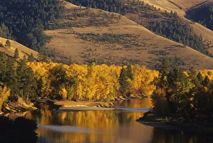 Autumn Color on the Bitterroot River near Missoula, Montana, USA Autumn Color on the Bitterroot River near Missoula, Montana, USA
