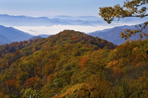 Autumn in the Great Smoky Mountain National Park, Tennessee Autumn in the Great Smoky Mountain National Park, Tennessee