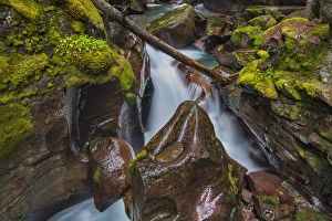 Avalanche Creek Gorge in Glacier National Park, Montana, USA Avalanche Creek Gorge in Glacier National Park, Montana, USA