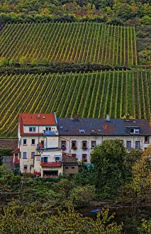 Bacharach Germany wine country village Fall beautiful scenic vineyards on mountain Bacharach Germany wine country village Fall beautiful scenic vineyards on mountain