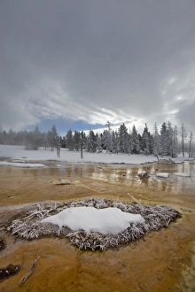 Bacteria Mat in the Lower Geyser Basin in winter in Yellowstone National Park Bacteria Mat in the Lower Geyser Basin in winter in Yellowstone National Park