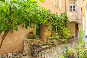Baltic States, Estonia, Tallinn. Tallinn Old Town, city windows with vine covered Baltic States, Estonia, Tallinn. Tallinn Old Town, city windows with vine covered