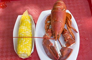 Bar Harbor Maine traditional lobster dinner with corn specialty of Maine Bar Harbor Maine traditional lobster dinner with corn specialty of Maine
