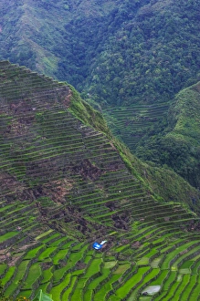 Batad rice terraces part of the world heritage sight Banaue, Luzon, Philippines Batad rice terraces part of the world heritage sight Banaue, Luzon, Philippines