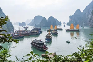Bay, Vietnam (UNESCO World Heritage Site). Junks in the bay Bay, Vietnam (UNESCO World Heritage Site). Junks in the bay