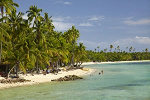 Beach, palm trees and beachfront bures, Plantation Island Resort, Malolo Lailai Island Beach, palm trees and beachfront bures, Plantation Island Resort, Malolo Lailai Island