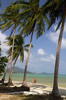 Beach with palm trees and the Gulf of Thailand on the island of Ko Samui, Thailand Beach with palm trees and the Gulf of Thailand on the island of Ko Samui, Thailand