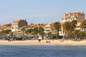 The beach with palm trees and houses along the coast in Bandol. Bandol Cote daAAAzur The beach with palm trees and houses along the coast in Bandol. Bandol Cote daAAAzur