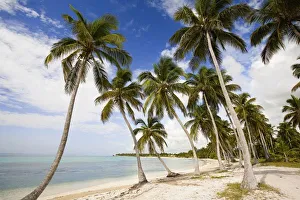 Punta Cana Beach Prints: Beach at Punta Cana