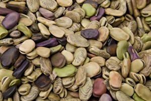 Beans displayed in market, Cuzco, Peru, South America Beans displayed in market, Cuzco, Peru, South America