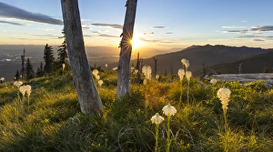 Beargrass at sunset in the Swan Range looking down onto the Flathead Valley near Bigfork Beargrass at sunset in the Swan Range looking down onto the Flathead Valley near Bigfork