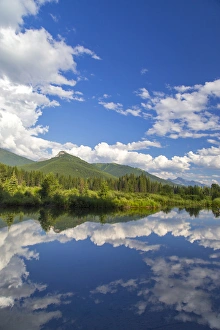Beaver pond along the Flathead River near Fernie, British Columbia, Canada Beaver pond along the Flathead River near Fernie, British Columbia, Canada