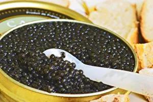 Luxury Food Images Prints: Black caviar