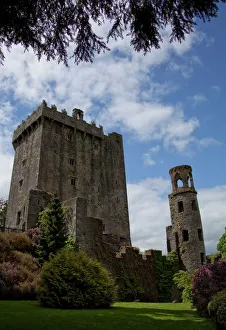 The Blarney Castle framed by colored textured plants under a blue sky with white The Blarney Castle framed by colored textured plants under a blue sky with white