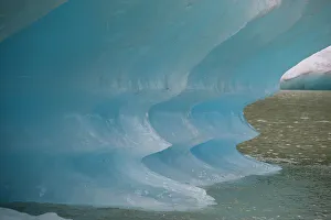 Global Warming Effects On Glaciers Prints: Blue iceberg glows in Shakes Lake