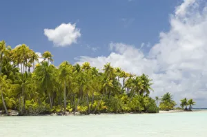 Blue Lagoon, Rangiroa, Tuamotu Archipelago, French Polynesia Blue Lagoon, Rangiroa, Tuamotu Archipelago, French Polynesia