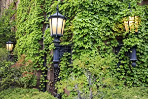 Boston, MA, USA. Street lamps with abundant foliage of historic buildings Boston, MA, USA. Street lamps with abundant foliage of historic buildings