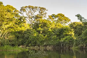 Brazil, Pantanal. Cuiaba River landscape. Credit as: Cathy & Gordon Illg / Jaynes Gallery Brazil, Pantanal. Cuiaba River landscape. Credit as: Cathy & Gordon Illg / Jaynes Gallery