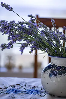 Bremerton, Washington State, USA. Lavender in a vase Bremerton, Washington State, USA. Lavender in a vase