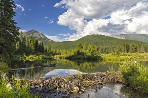 British Columbia; Canada; summer; scenic; landscape; Flathead River; wild; river British Columbia; Canada; summer; scenic; landscape; Flathead River; wild; river